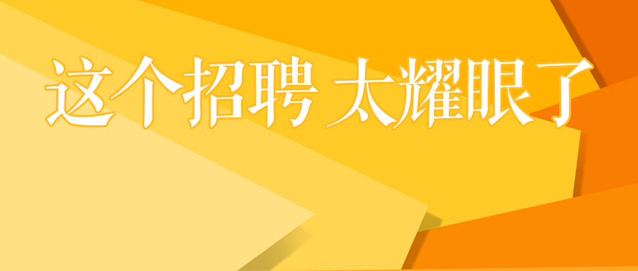 金华招聘网最新招聘网,金华招聘网，最新招聘信息的汇聚之地