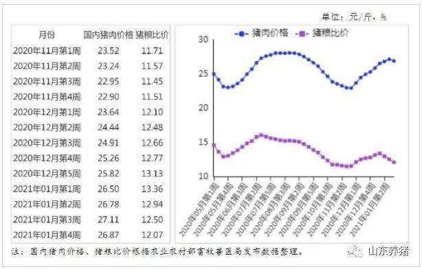 猪肉行情最新消息,猪肉行情最新消息，市场走势分析与预测