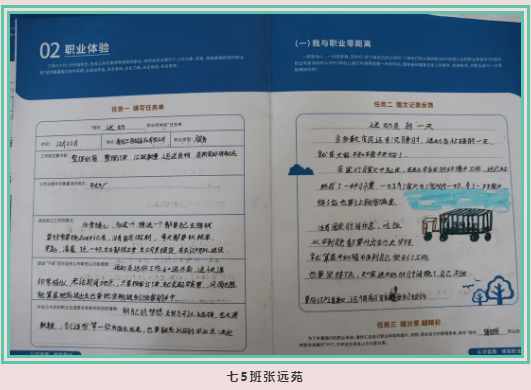 最新教育法,最新教育法的实施与影响，探索未来教育的新篇章