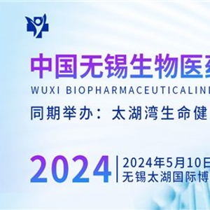 2024香港全年免费资料公开,揭秘香港未来新篇章，2024香港全年免费资料公开