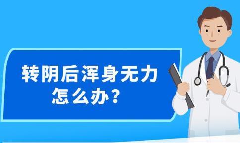 新澳免费资料大全精准版,新澳免费资料大全精准版，揭示背后的风险与法律警示