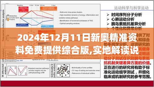 2024新奥精准正版资料,揭秘2024新奥精准正版资料，全方位解读与应用策略