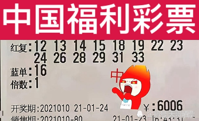 新澳2024今晚开奖结果,新澳2024今晚开奖结果，期待与惊喜的交汇点