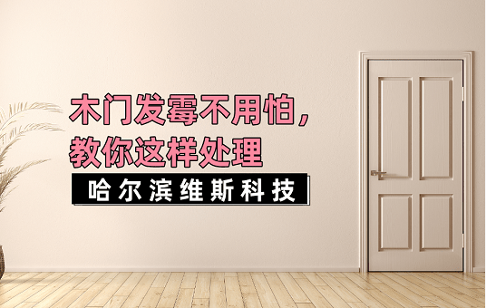 2024新奥门正版资料,探索新奥门，2024正版资料的深度解读