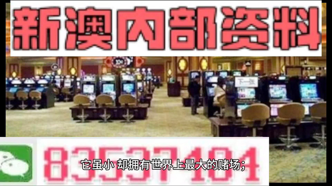 澳门精准资料免费正版大全,澳门精准资料免费正版大全——揭示违法犯罪问题