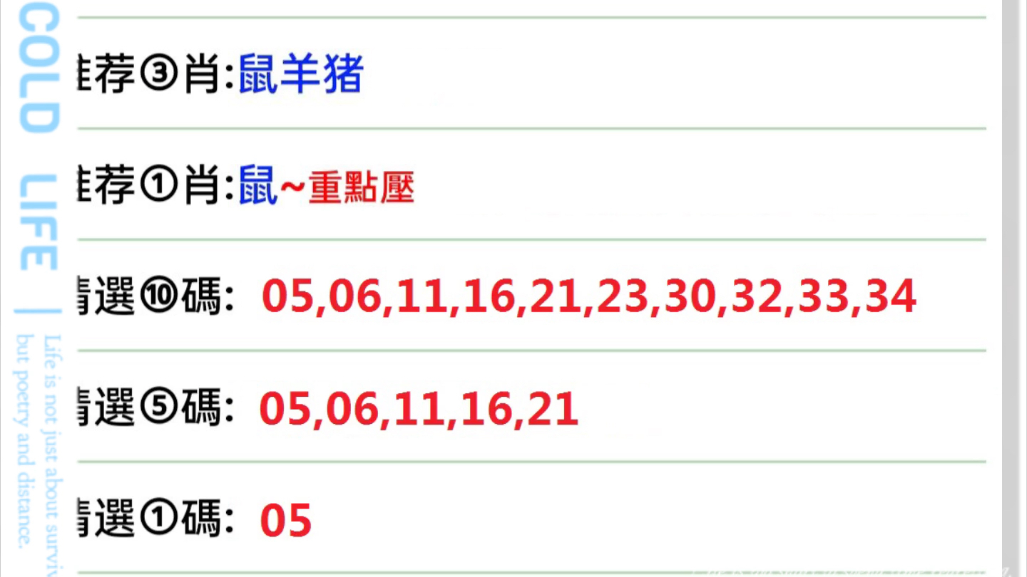 2025澳门特马今晚开奖097期,澳门特马今晚开奖097期，期待与悬念的交织