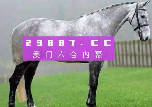 2023年澳门特马今晚开码,2023年澳门特马今晚开码——探索与期待