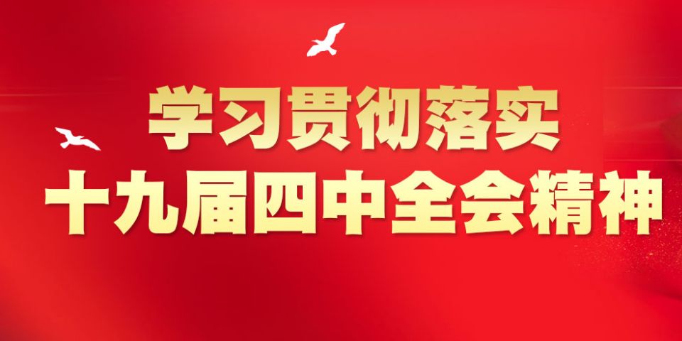 管家婆一马一肖一中一特,管家婆的独特智慧，一马一肖一中一特的启示