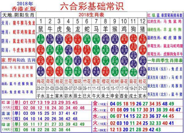 澳门正版资料大全资料生肖卡,澳门正版资料大全资料生肖卡的深度解析