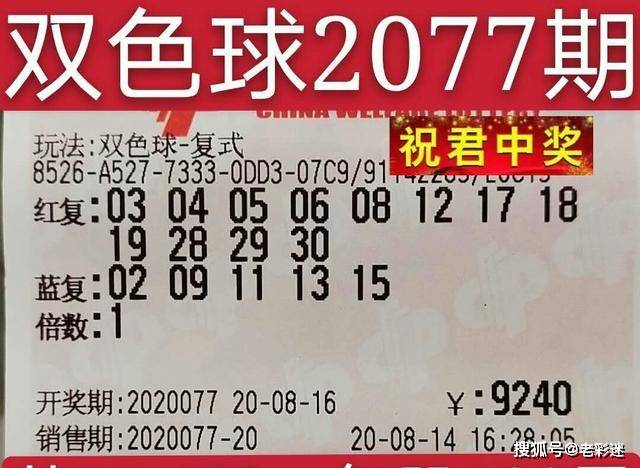 2025澳门特马今晚开网站104期 01-03-12-15-32-49G：04,探索澳门特马文化，今晚第104期与数字的魅力