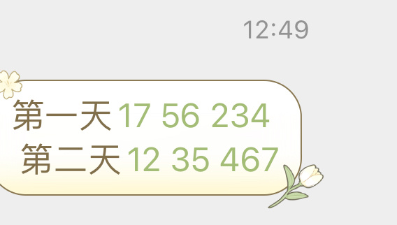 澳门今晚开特马 开奖结果课049期 02-04-09-25-28-45R：48,澳门今晚开特马，开奖结果课第049期的期待与揭秘