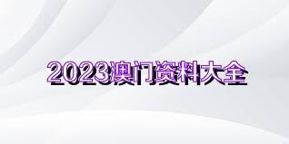 2023澳门正版全年免费资料010期 07-09-21-28-30-45H：17,澳门正版全年免费资料解析，探索2023年第010期秘密与策略（附号码推荐）